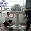 Mẫu Cây Hương Đá -CH14